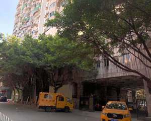 麓景阁门口空地