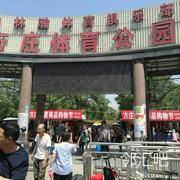 公园内
