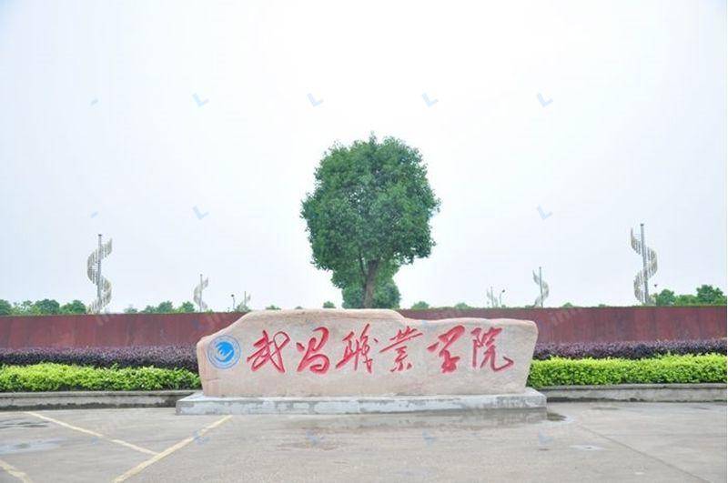 武昌职业学院