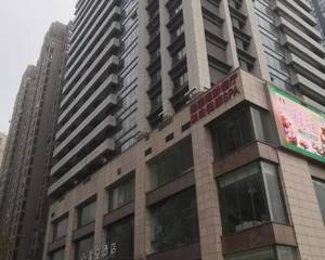 武汉欣隆壹号公馆4号楼 - 1楼大厅