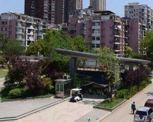 南国美食汇