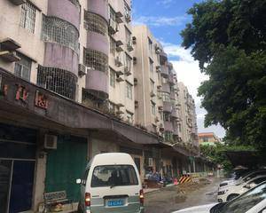 园区中心假山旁