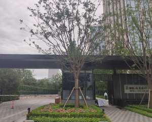 11号楼南侧空地