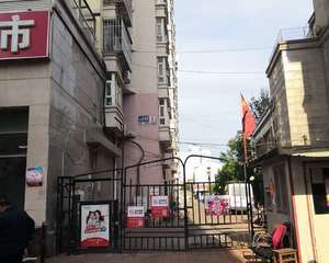 花园池塘边空地