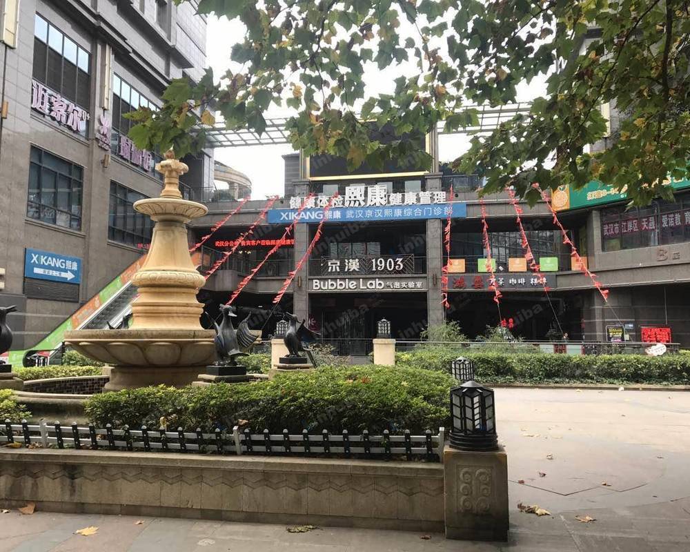 武汉金地京汉1903
