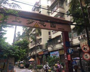 正门口主干道旁