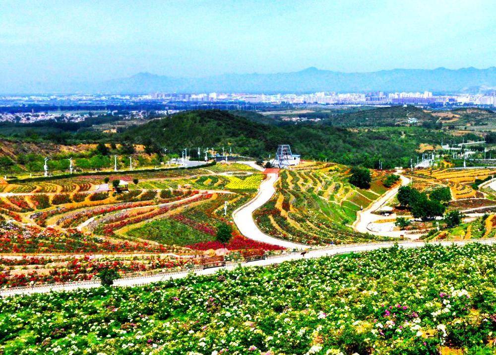 北京玫瑰情园