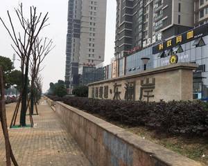 福星惠誉东澜岸商业街南区入口处武交职学校侧门对面