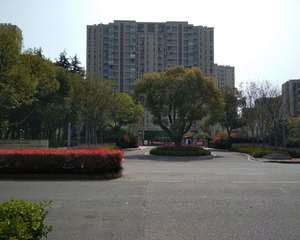 南门保安亭旁空地