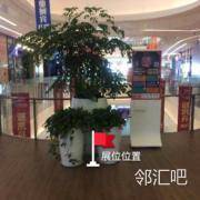 二层连廊春衫定制门前