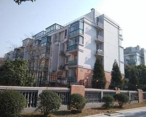 西门进门左手边台阶上