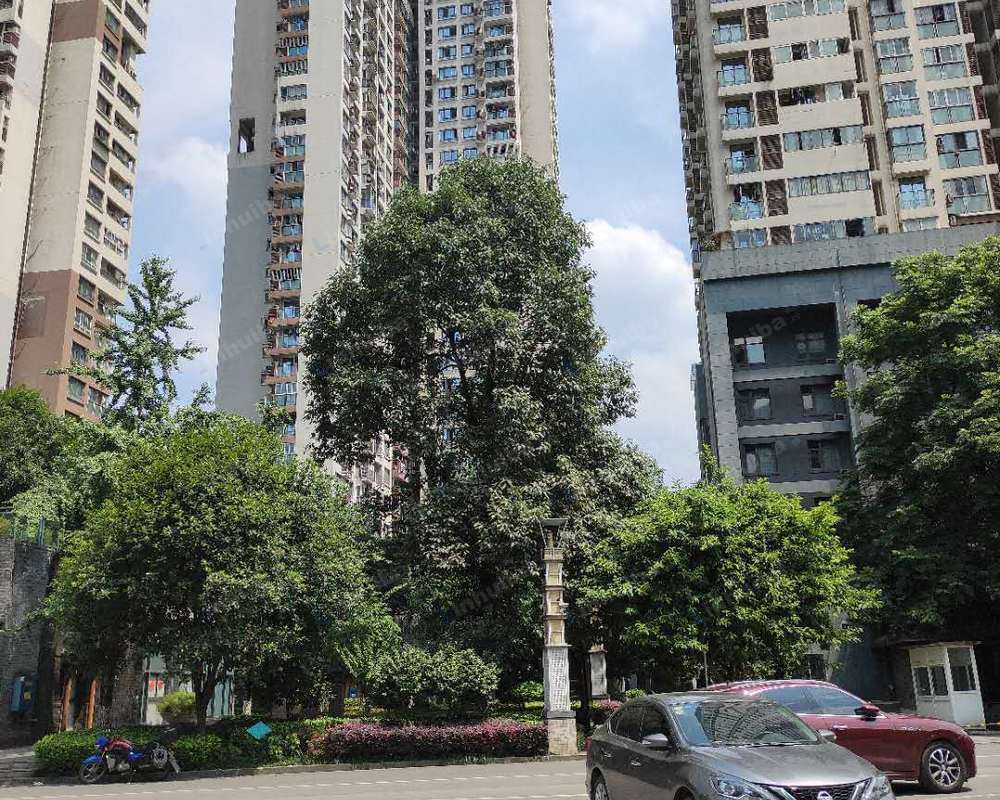 重庆鑫源仙居