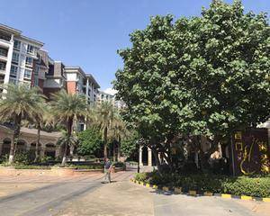 小区内游乐园前方