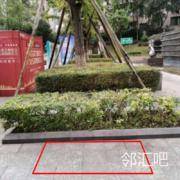 前庭位置