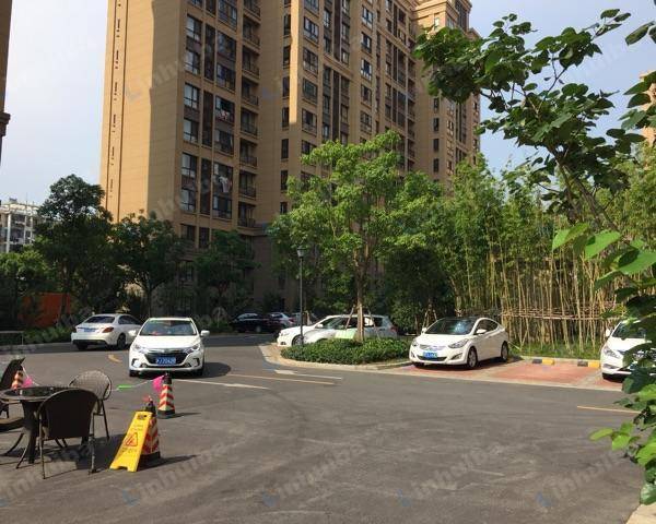 上海金山旭新华庭 - 小区物业办公室对面空地