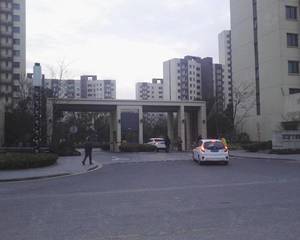 小区正大门对面