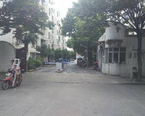 大门口停车带旁边