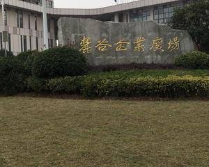 长沙麓谷企业广场