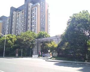 物业服务中心旁小广场