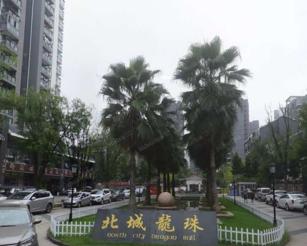 重庆潼南北城龙珠