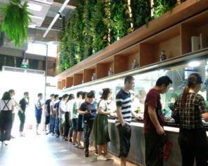 深圳市开味缘餐饮管理有限公司