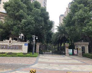 小区进口花坛处