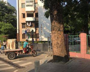 广州德荣小区