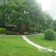 会所前方小广场