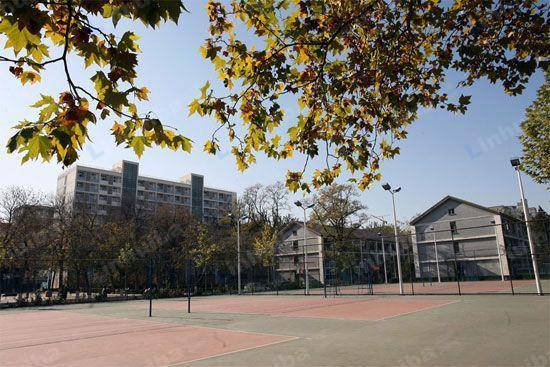 北京语言大学 - 篮球场南侧