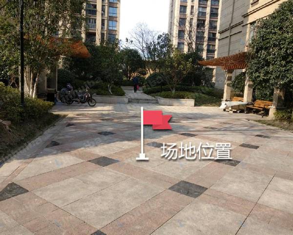 上海新城金郡常青藤 - 小区花园空地