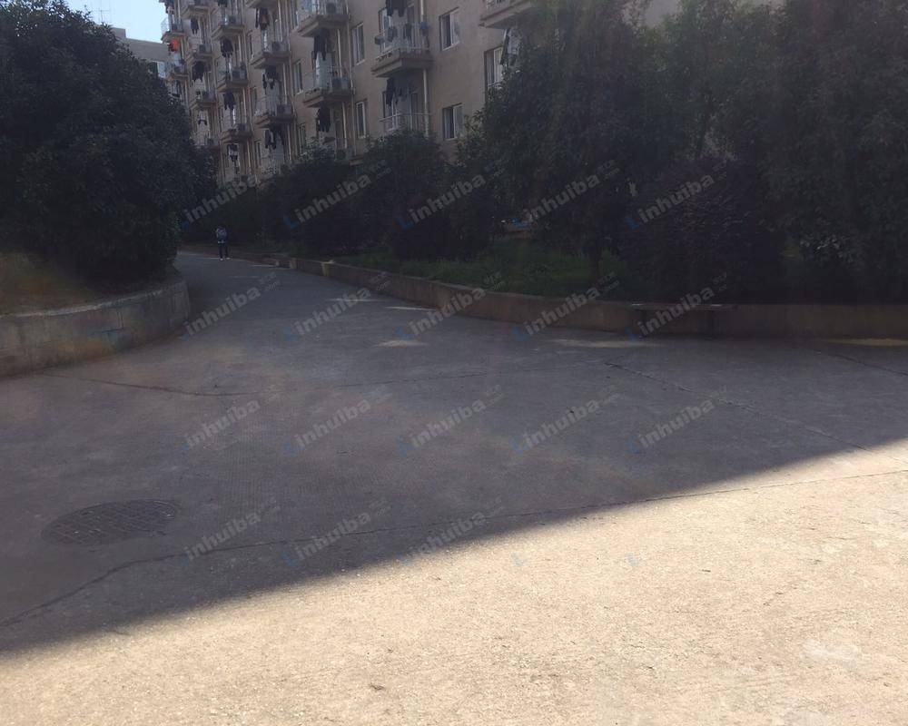 湖北第二师范学院(汤逊湖校区)-东门 - 学校两栋男生两栋女生宿舍楼的十字交叉口