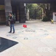 金地京汉1903进门广场中央椰岛造型旁