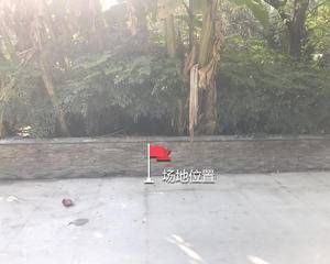 99号公寓大楼下正前方过道