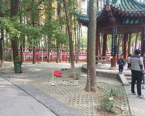 中山游乐园凉亭旁边