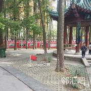 中山游乐园凉亭旁边
